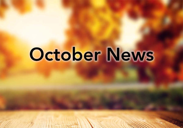 October 2016 Newsletter Introduction