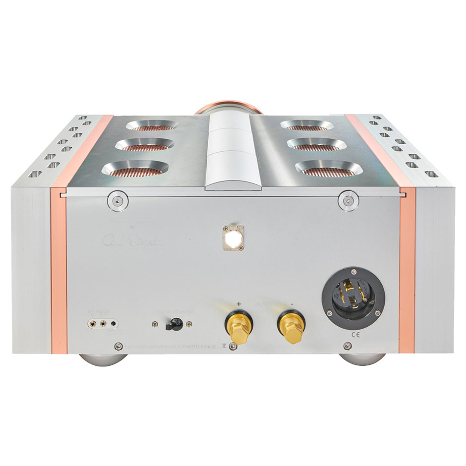 Dan D'Agostino Relentless 800 Monoblock Amplifier Paragon SNS