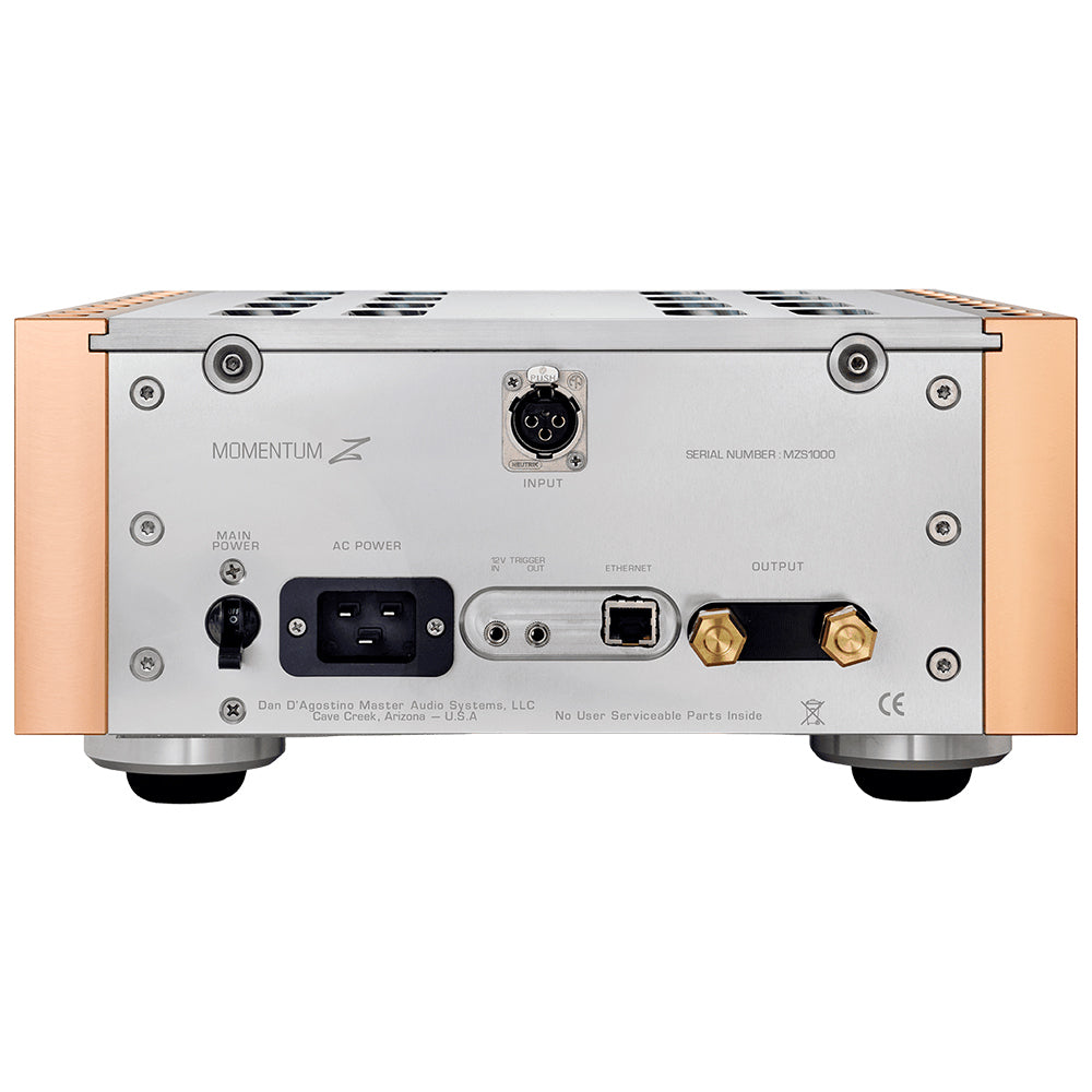 D'Agostino Momentum Z Monoblock Amplifier