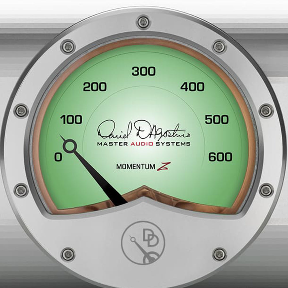 D'Agostino Momentum Z Monoblock Amplifier
