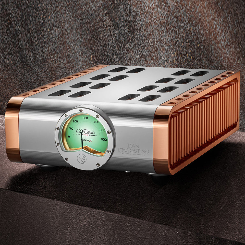 D'Agostino Momentum Z Monoblock Amplifier