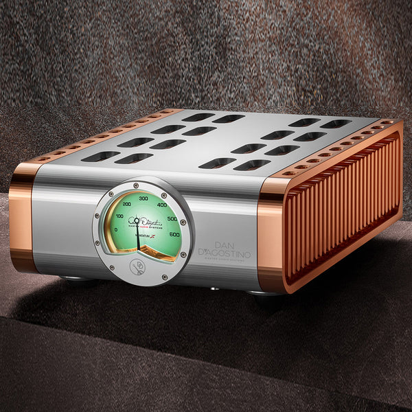 D'Agostino Momentum Z Monoblock Amplifier