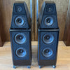 Wilson Audio Certified Authentic Field Recertified Sasha DAW Floorstanding Speakers with Acoustic Diodes, Satin Diamond Black, Pre-Owned