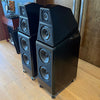 Wilson Audio Certified Authentic Field Recertified Sasha DAW Floorstanding Speakers with Acoustic Diodes, Satin Diamond Black, Pre-Owned
