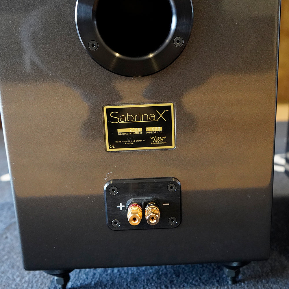 Wilson Audio Certified Authentic Never Titled SabrinaX Floorstanding Speakers, Galaxy Gray