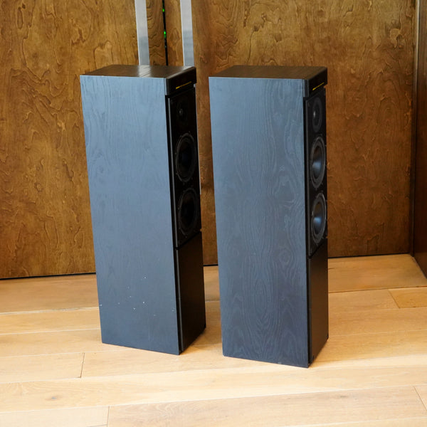 Meridian DSP-5000 Tower Speakers, Pre-owned