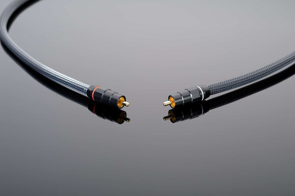 Premium 75-Ohm Digital Link | Transparent Cables | Paragon Sight &amp; Sound