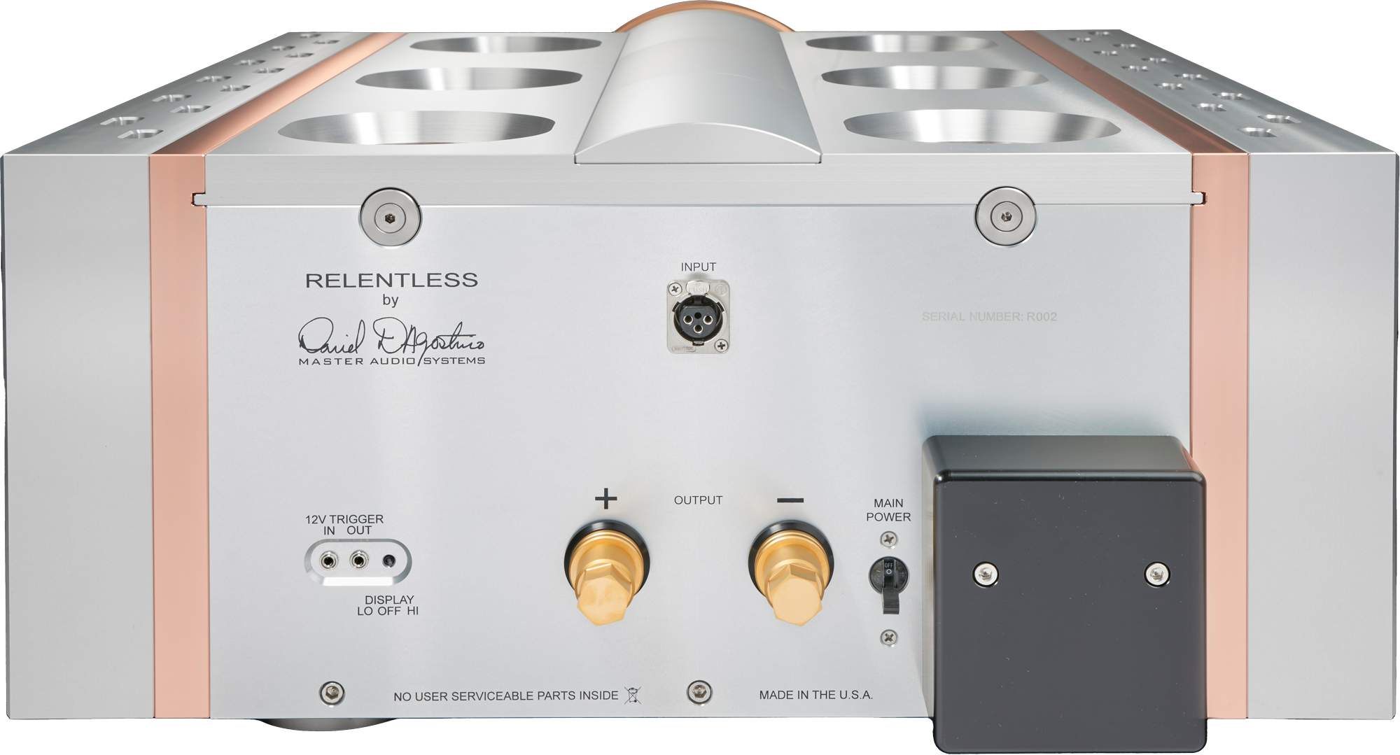 Dan D'Agostino Relentless Epic 1600 Monoblock Amplifier